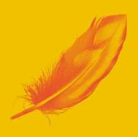 Duncan Abel Duncan Abel